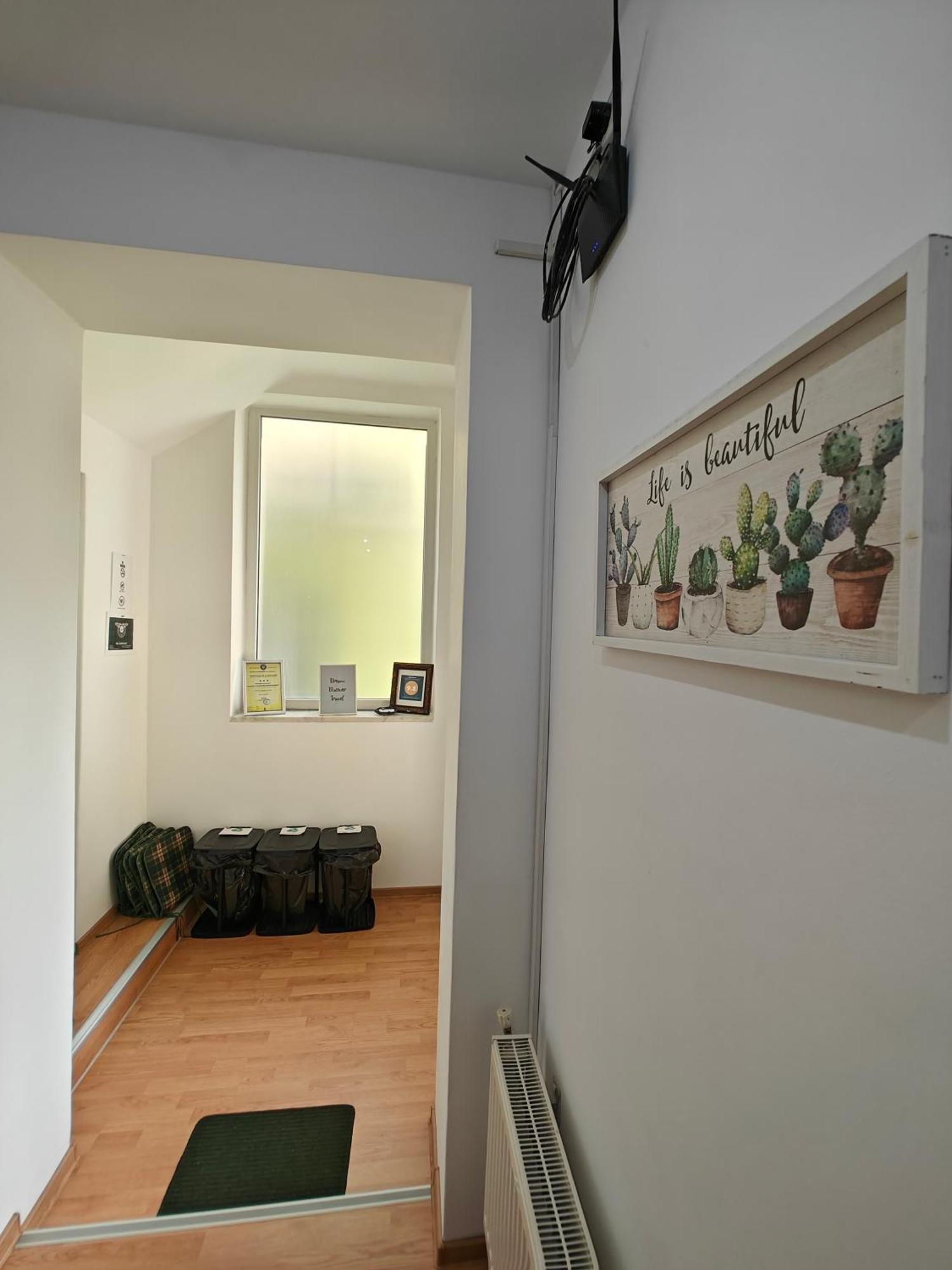 Transsylvanian Wolves Apartment Sibiu Esterno foto