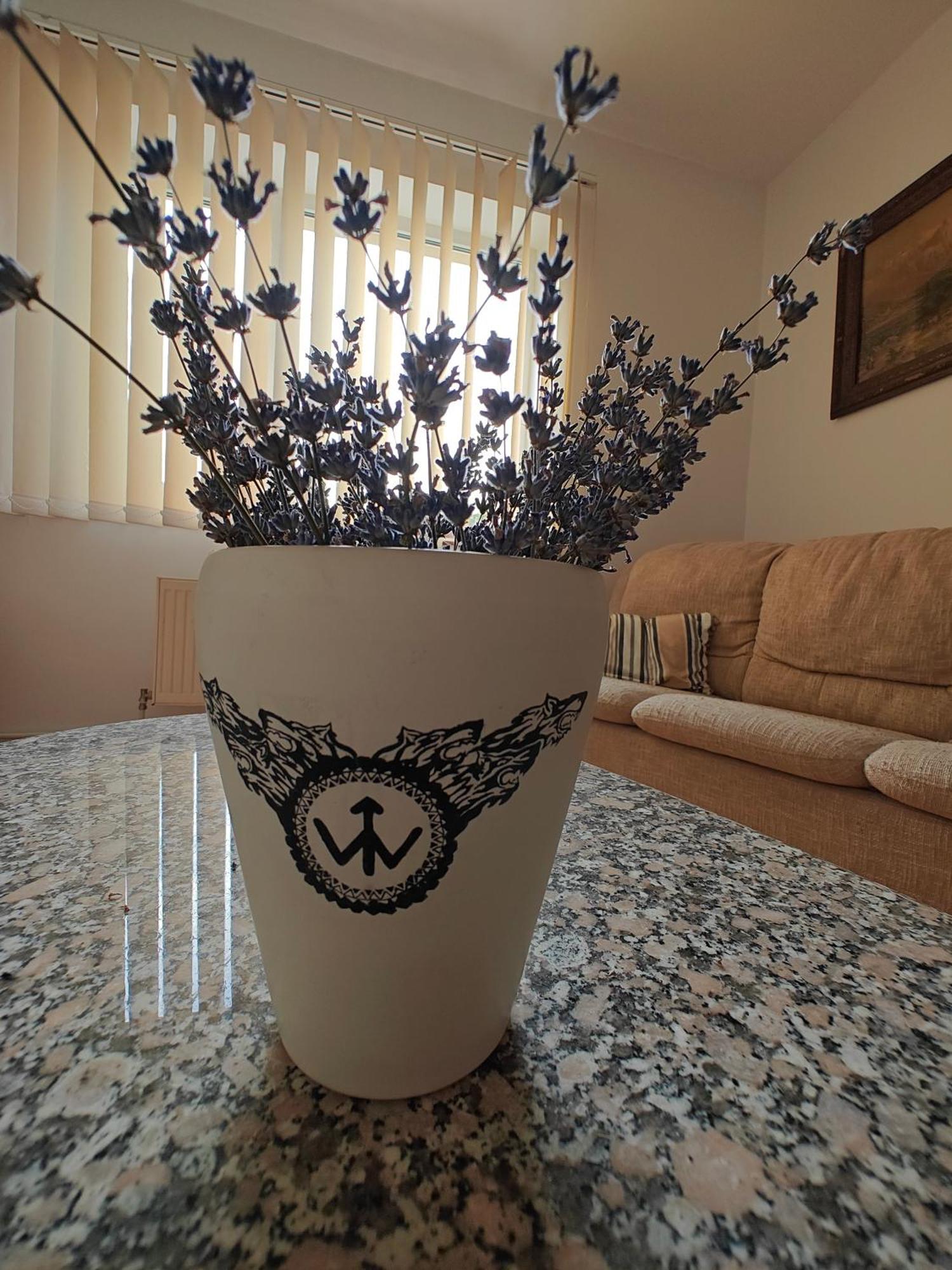 Transsylvanian Wolves Apartment Sibiu Esterno foto